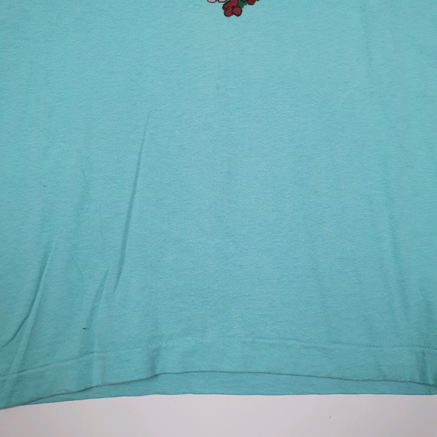 Mens Blue Fruit Of The Loom Single Stitch Vintage 90s Made In USA  T Shirt