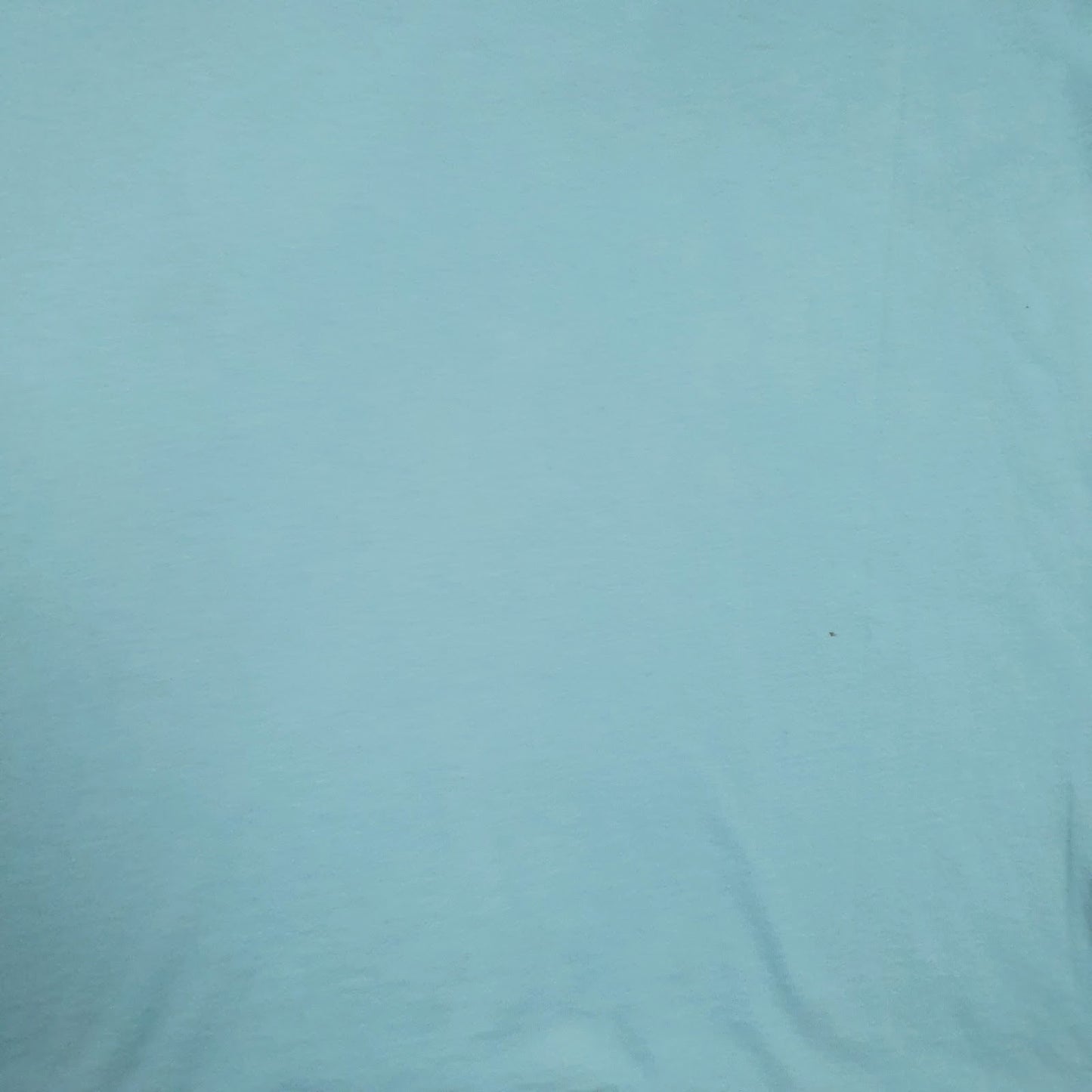 Mens Blue Polo Ralph Lauren   T Shirt