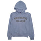 Womens Blue Champion  Hoodie Jumper