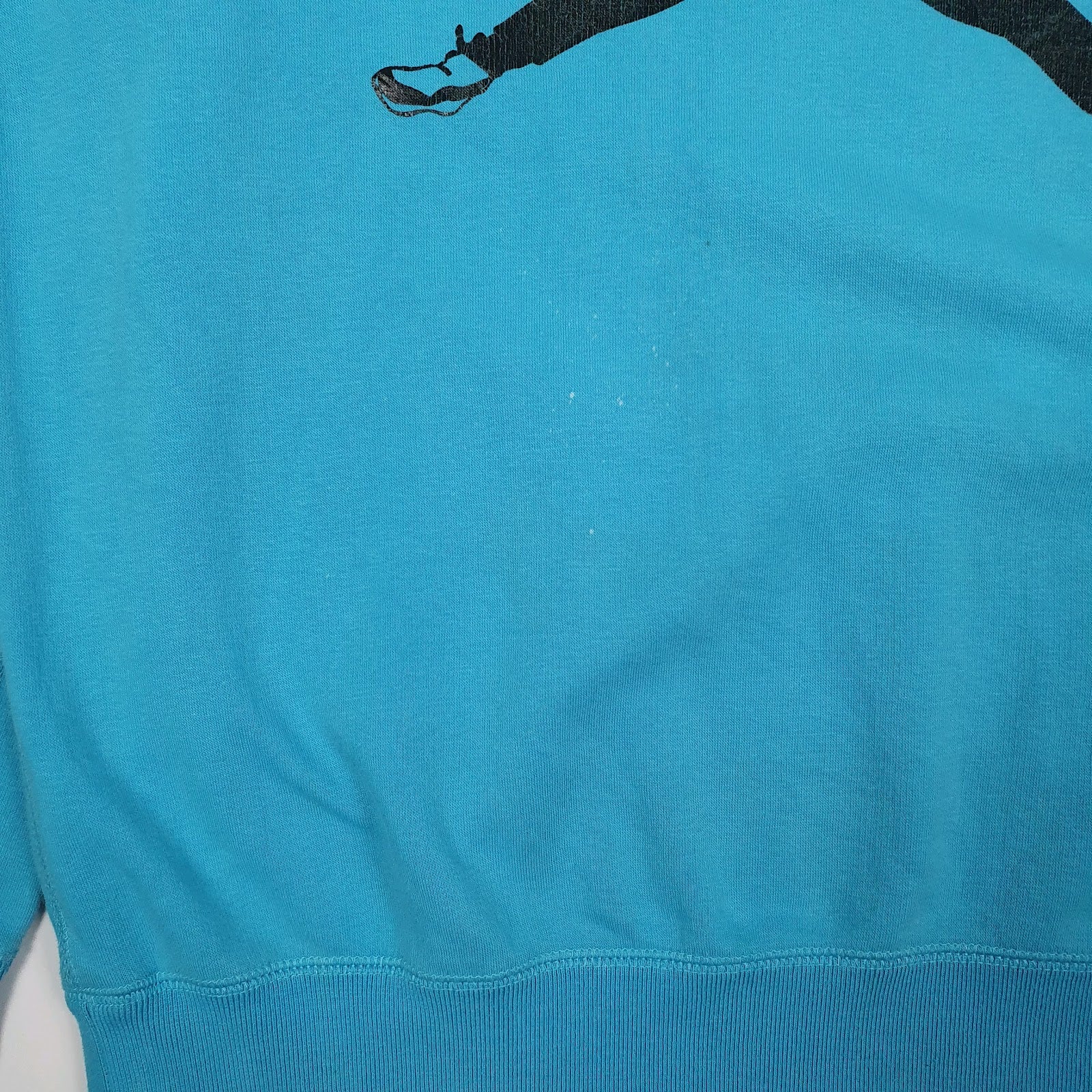 Mens Blue Nike Air Jordan Basketball Crewneck Jumper