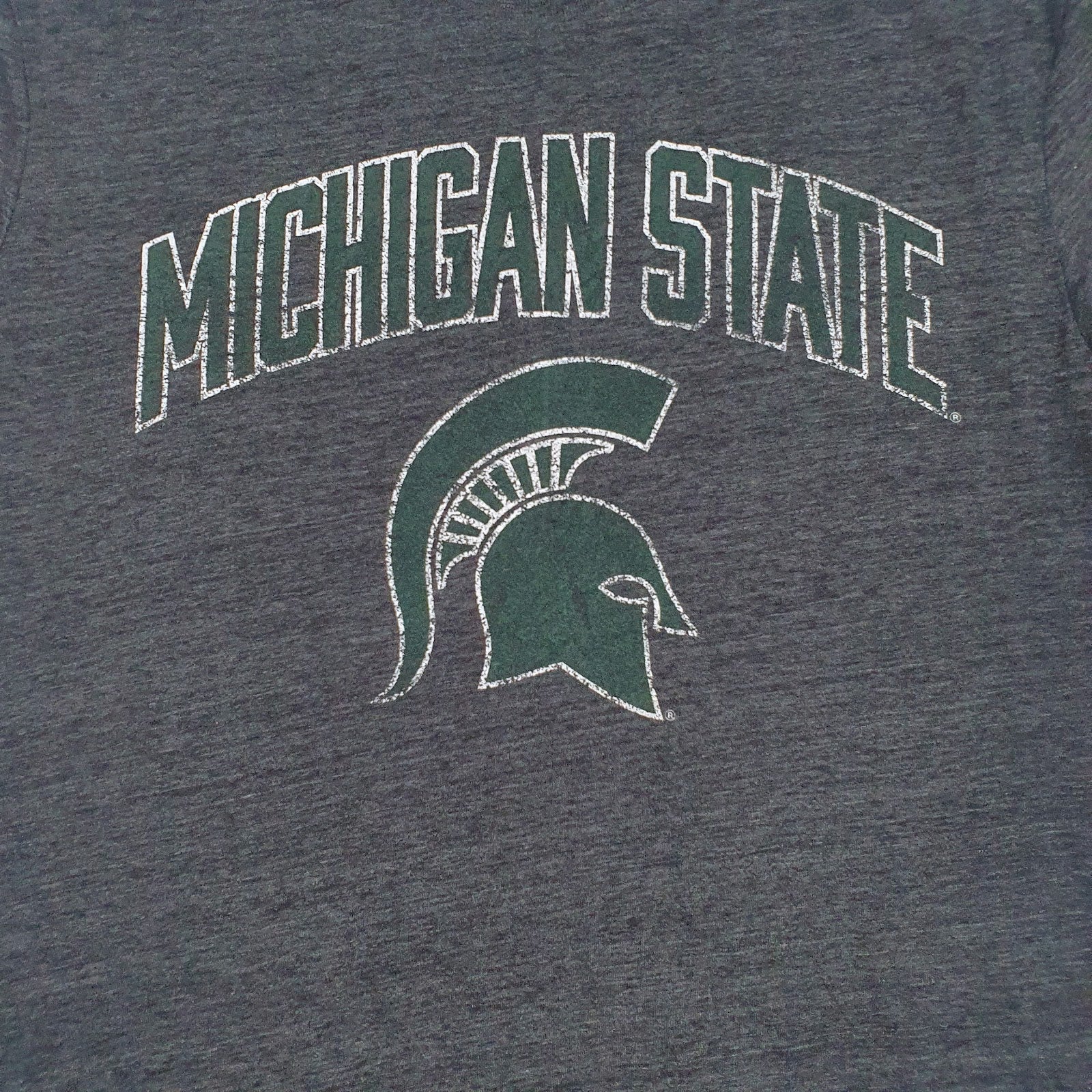 Mens Grey Captivating Apparel Michigan State  T Shirt