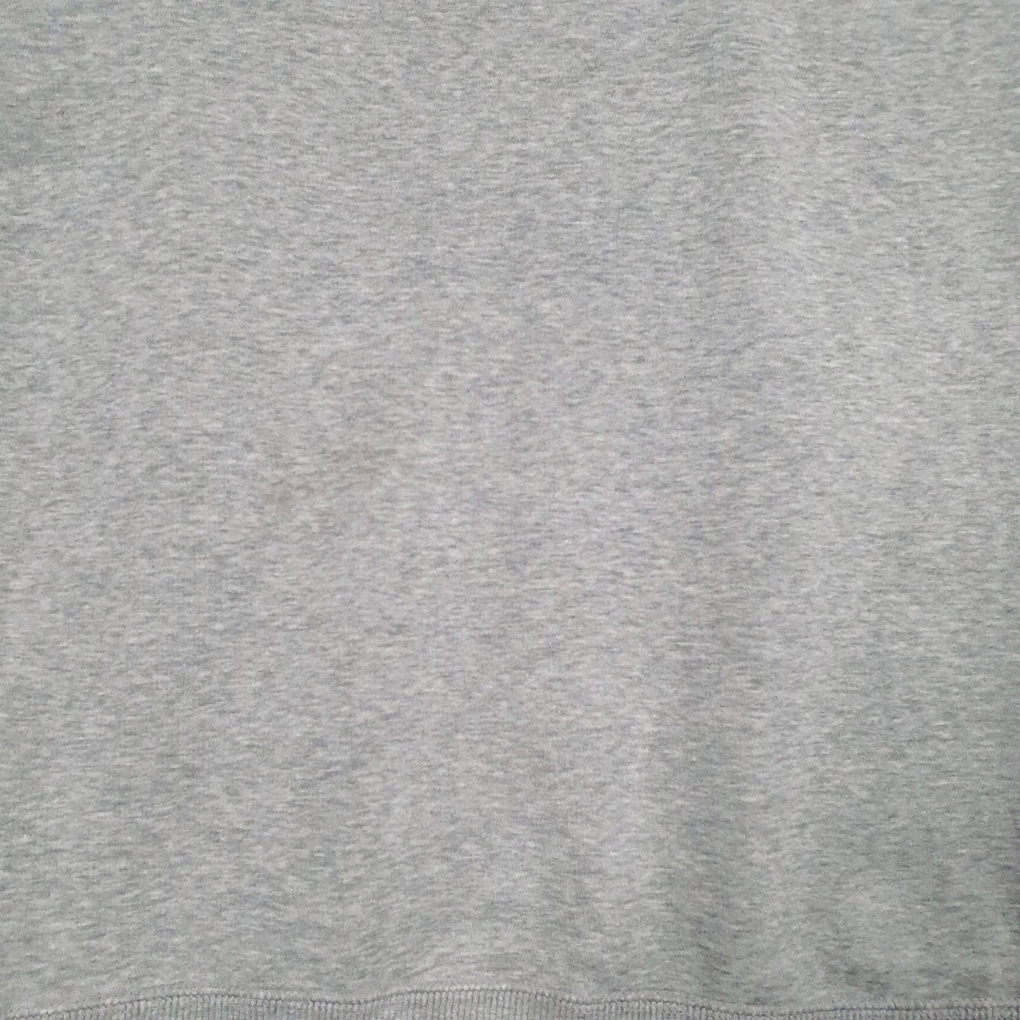 Mens Grey Nike 2014 Rose Bowl Game Champions Hoodie Jumper