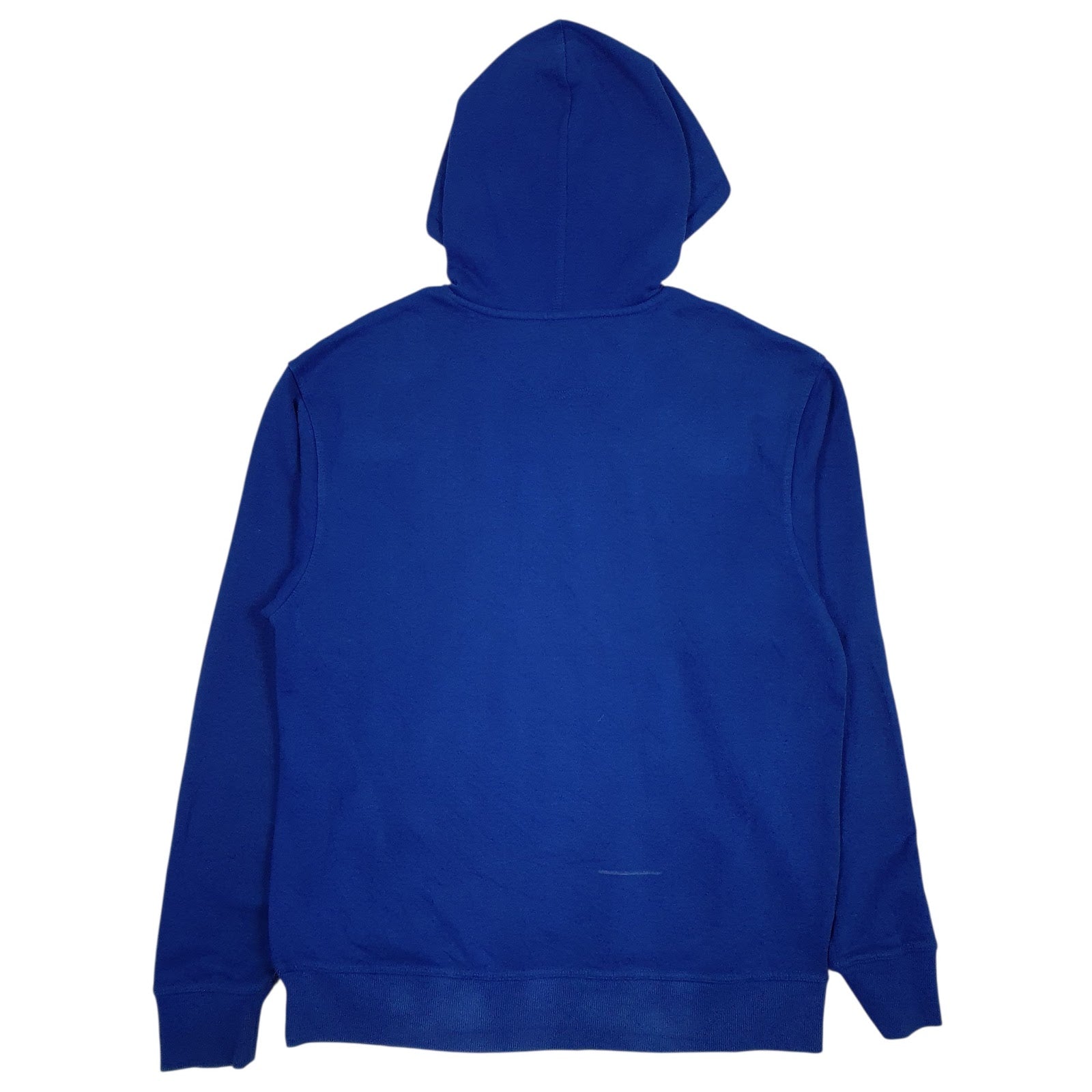 Mens Blue Champion Spellout Hoodie Jumper