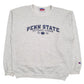 Mens Grey Champion Penn State Crewneck Jumper