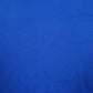 Mens Blue Champion   T Shirt