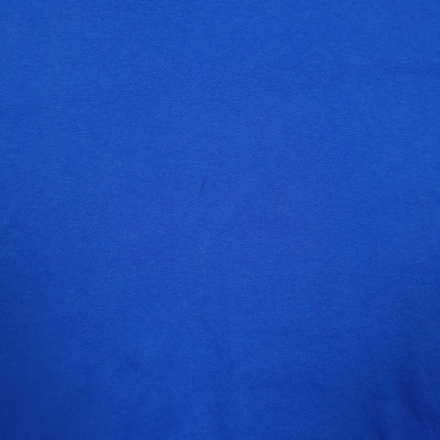 Mens Blue Champion   T Shirt
