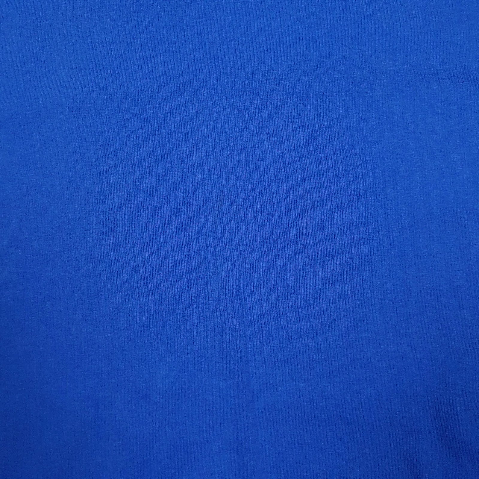 Mens Blue Champion   T Shirt