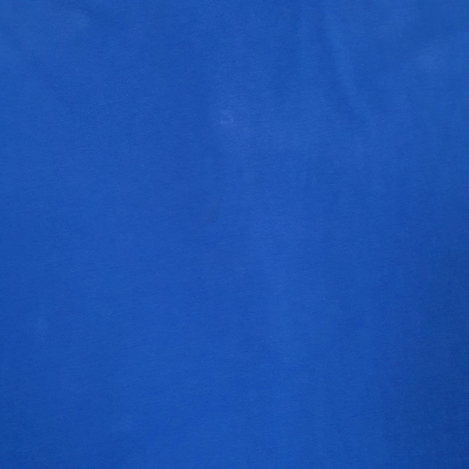 Mens Blue Polo Ralph Lauren   Polo Shirt