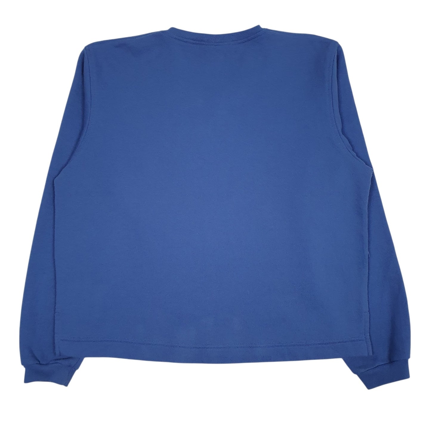 Womens Blue Champion  V Neck Jumper