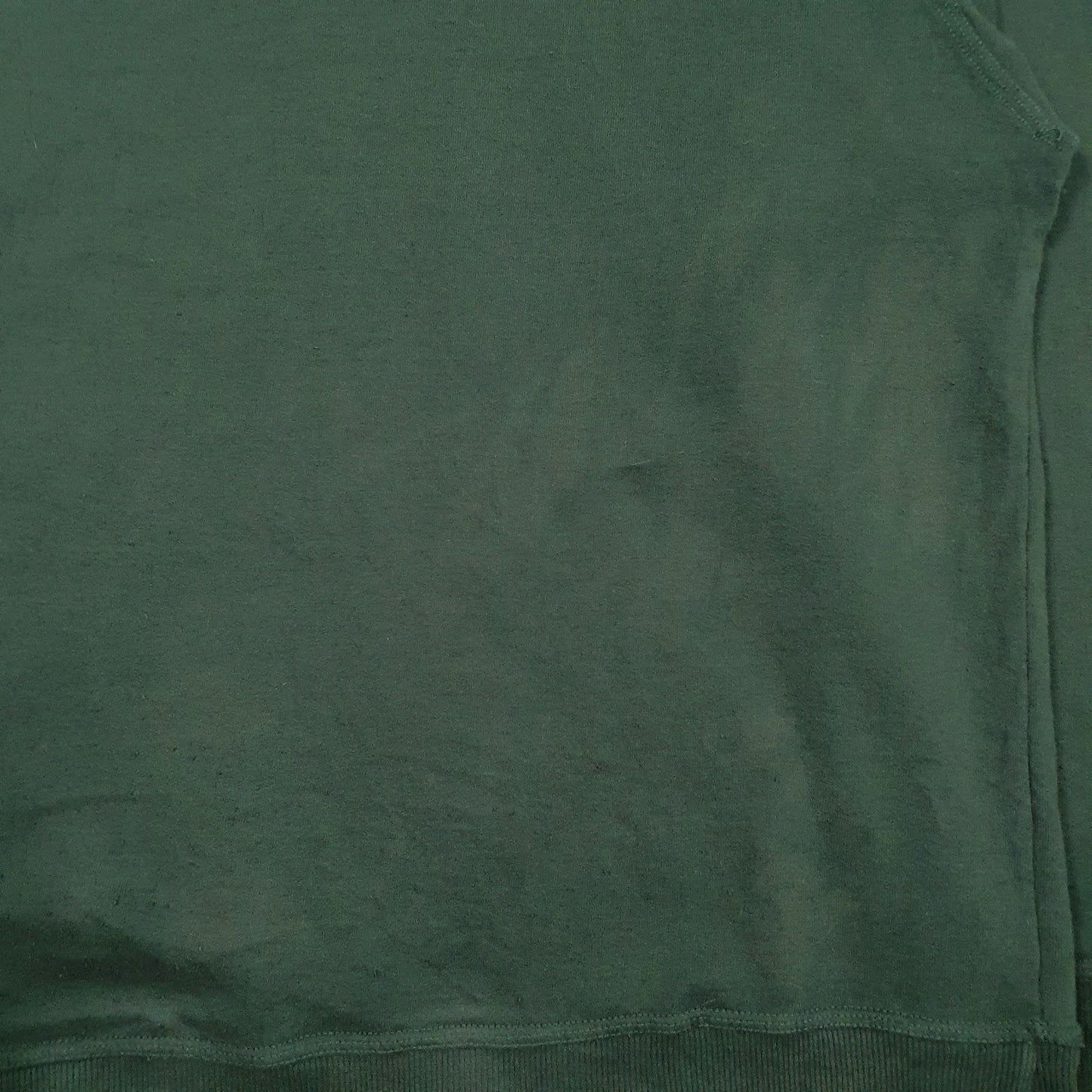 Mens Green Champion  Hoodie Jumper