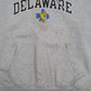 Mens Grey Champion Delaware Hoodie Jumper