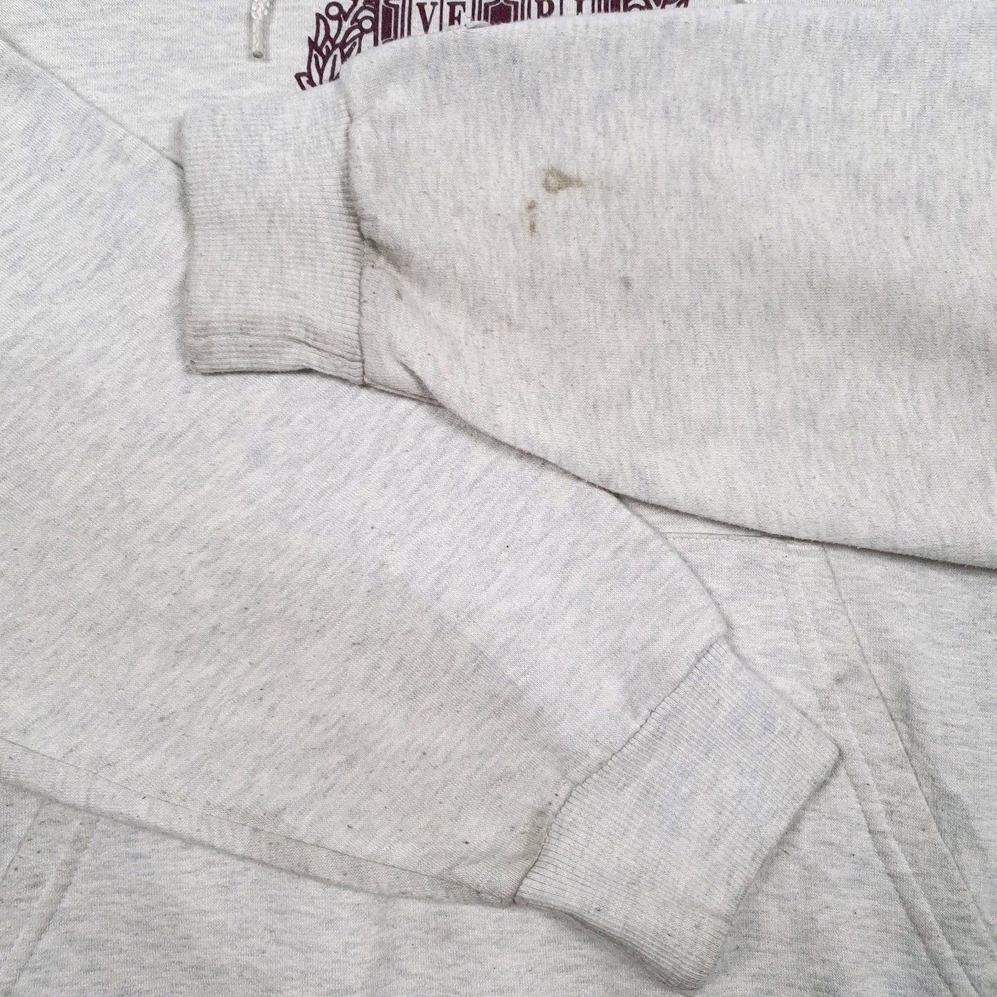 Mens Grey Champion Harvard Hoodie Jumper