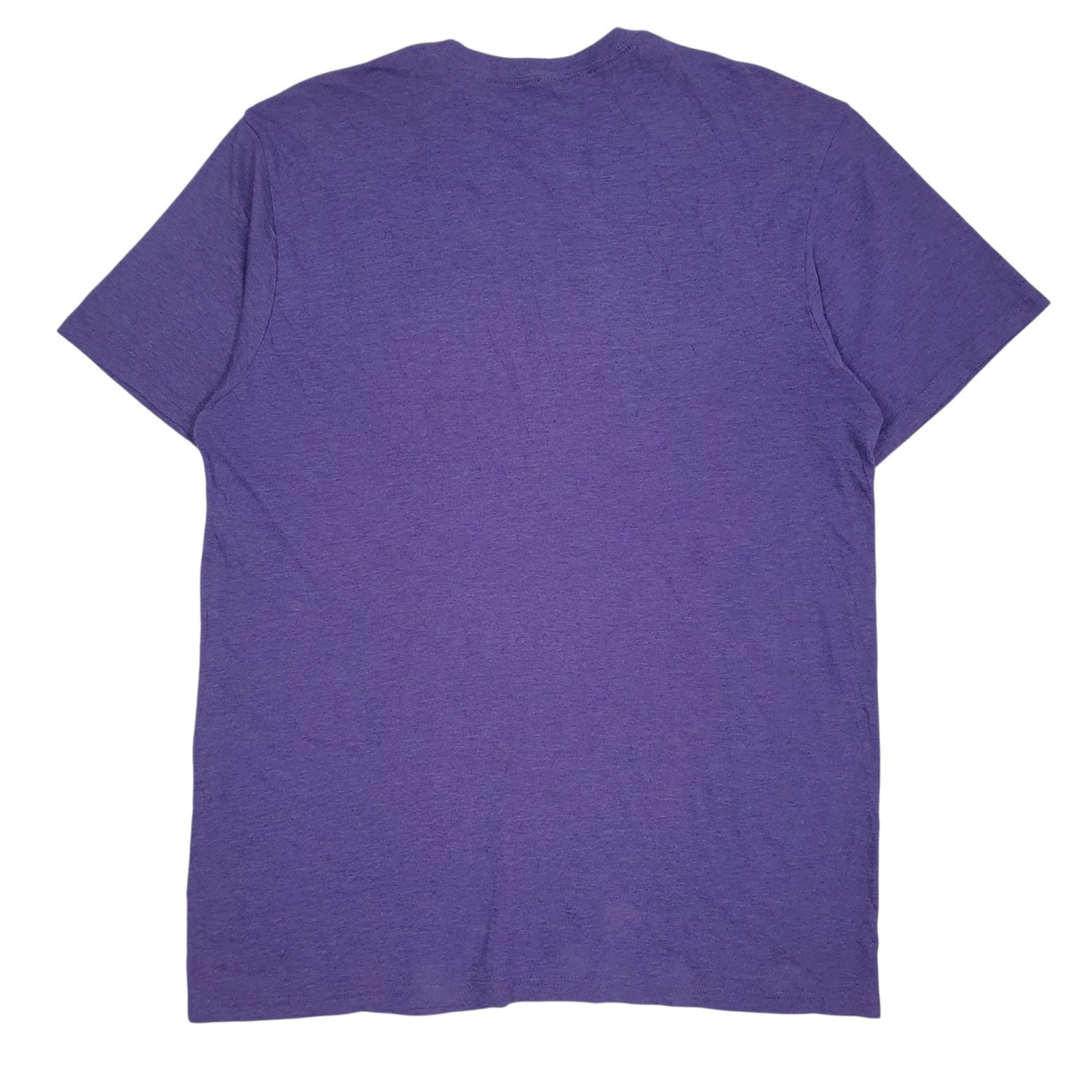 Mens Purple Unbranded Boulder  T Shirt