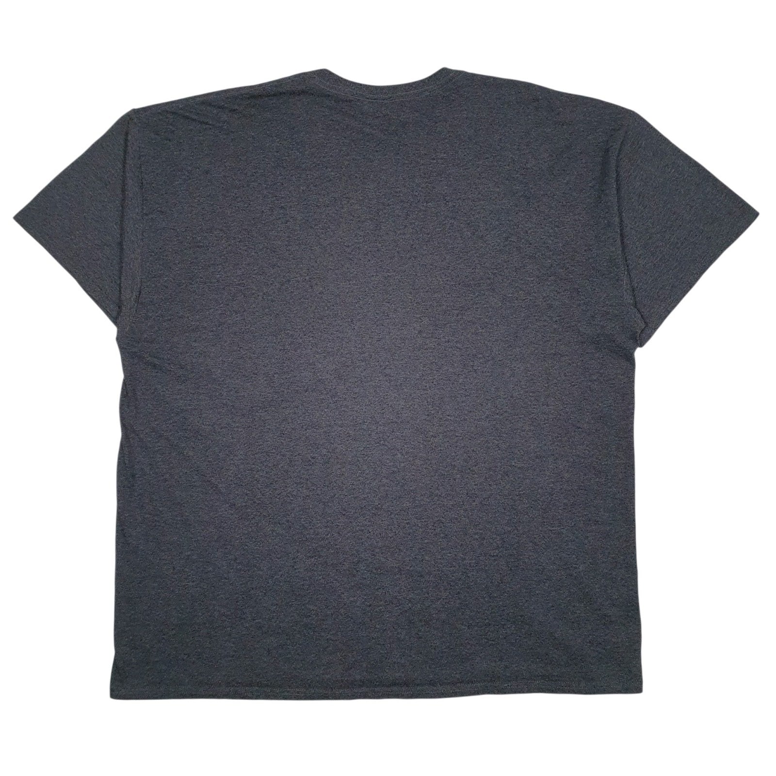 Mens Grey Fruit Of The Loom Stand Strong  T Shirt