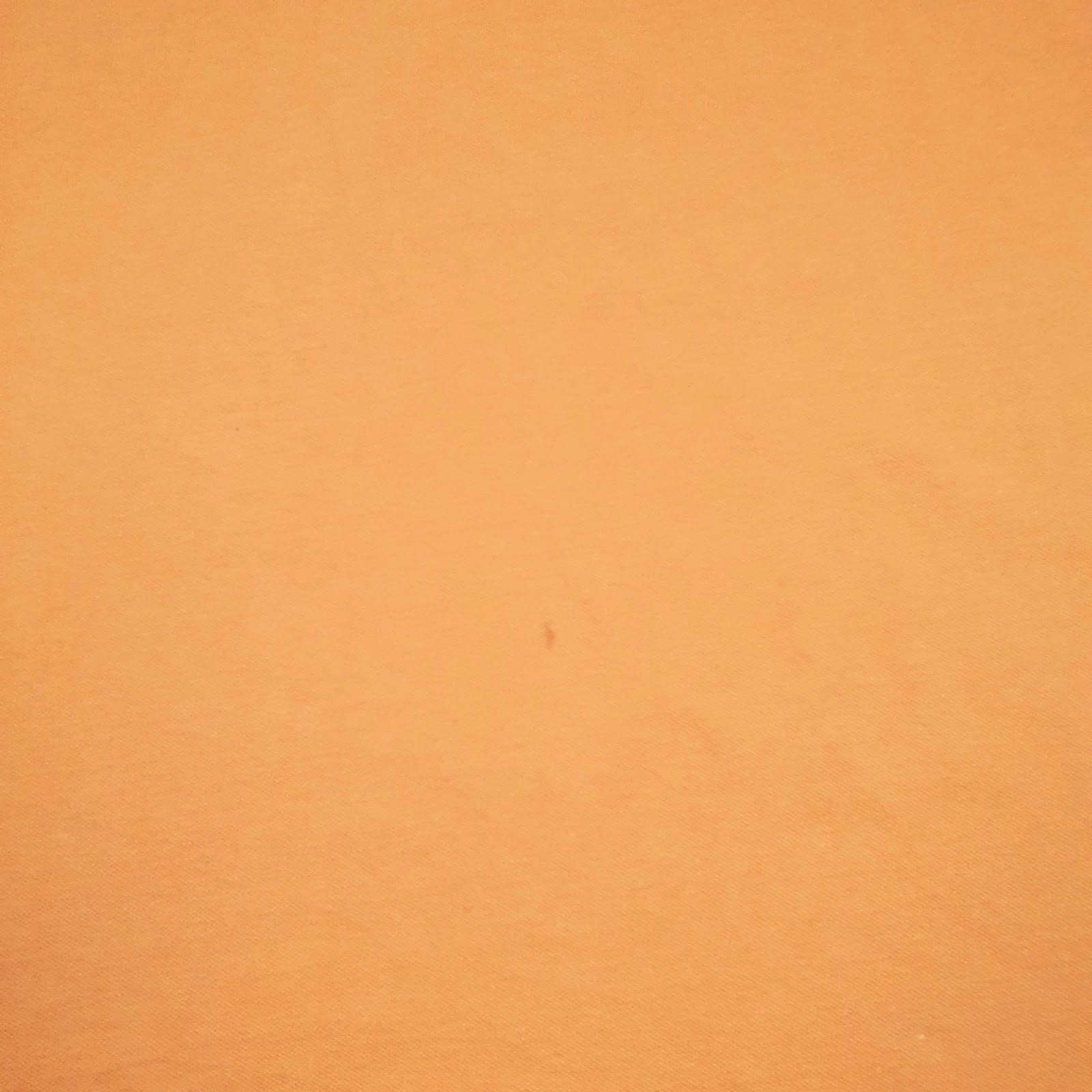 Mens Orange St Johns Bay   Polo Shirt