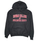 Mens Grey Champion Rowan College Hoodie Jumper