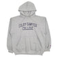 Mens Grey Champion  Hoodie Jumper
