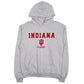 Mens Grey Champion Indiana Alumni Hoodie Jumper
