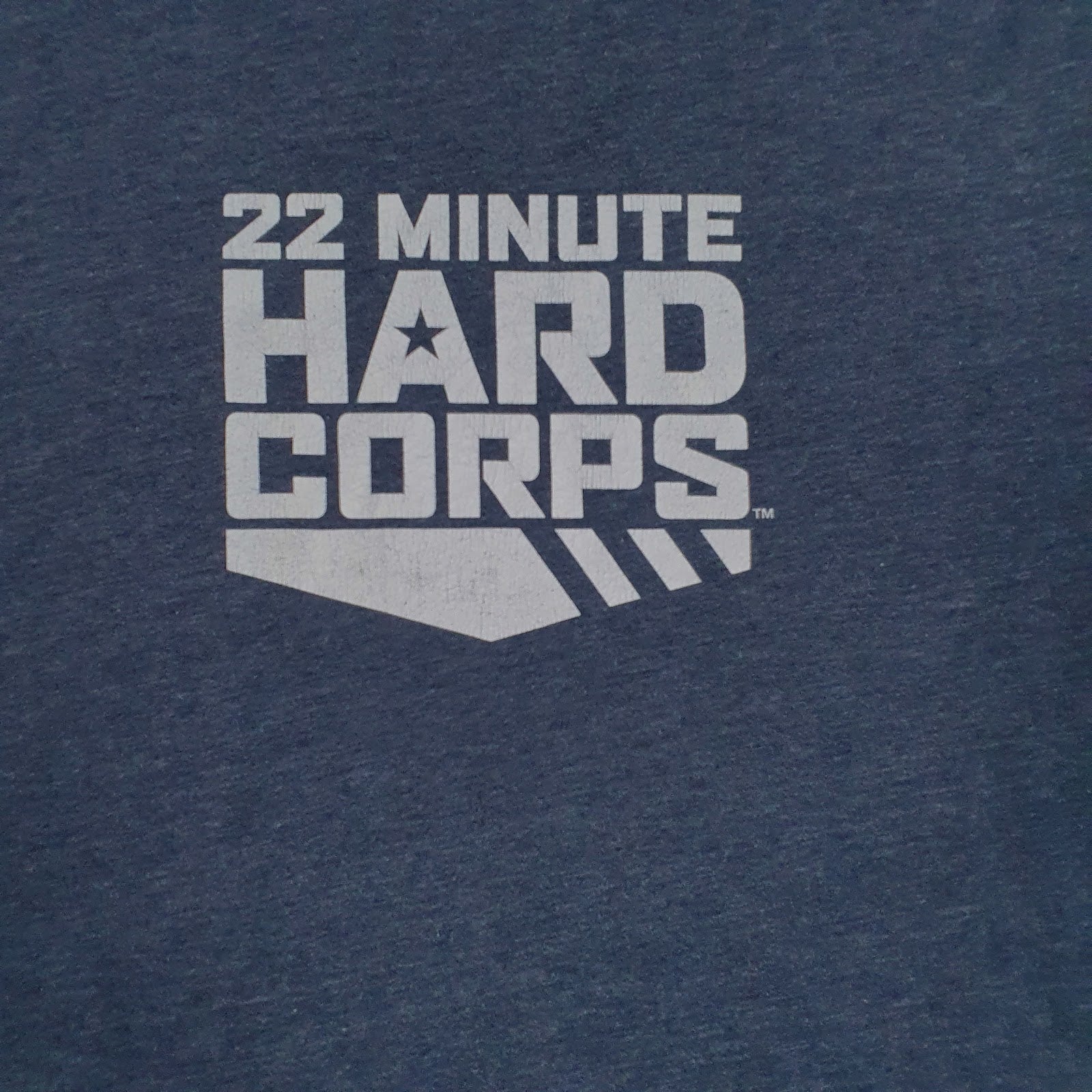 Mens Grey Next Level   T Shirt