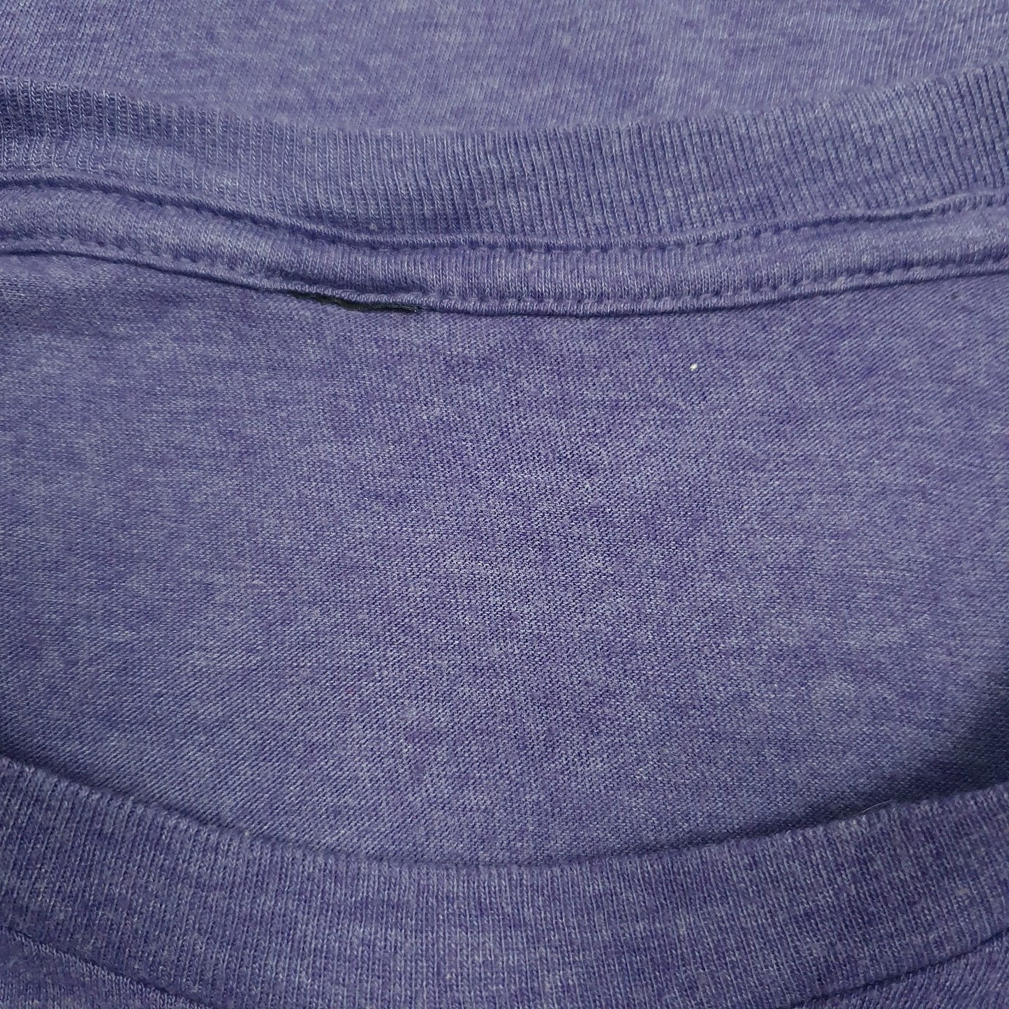 Mens Purple Unbranded Boulder  T Shirt