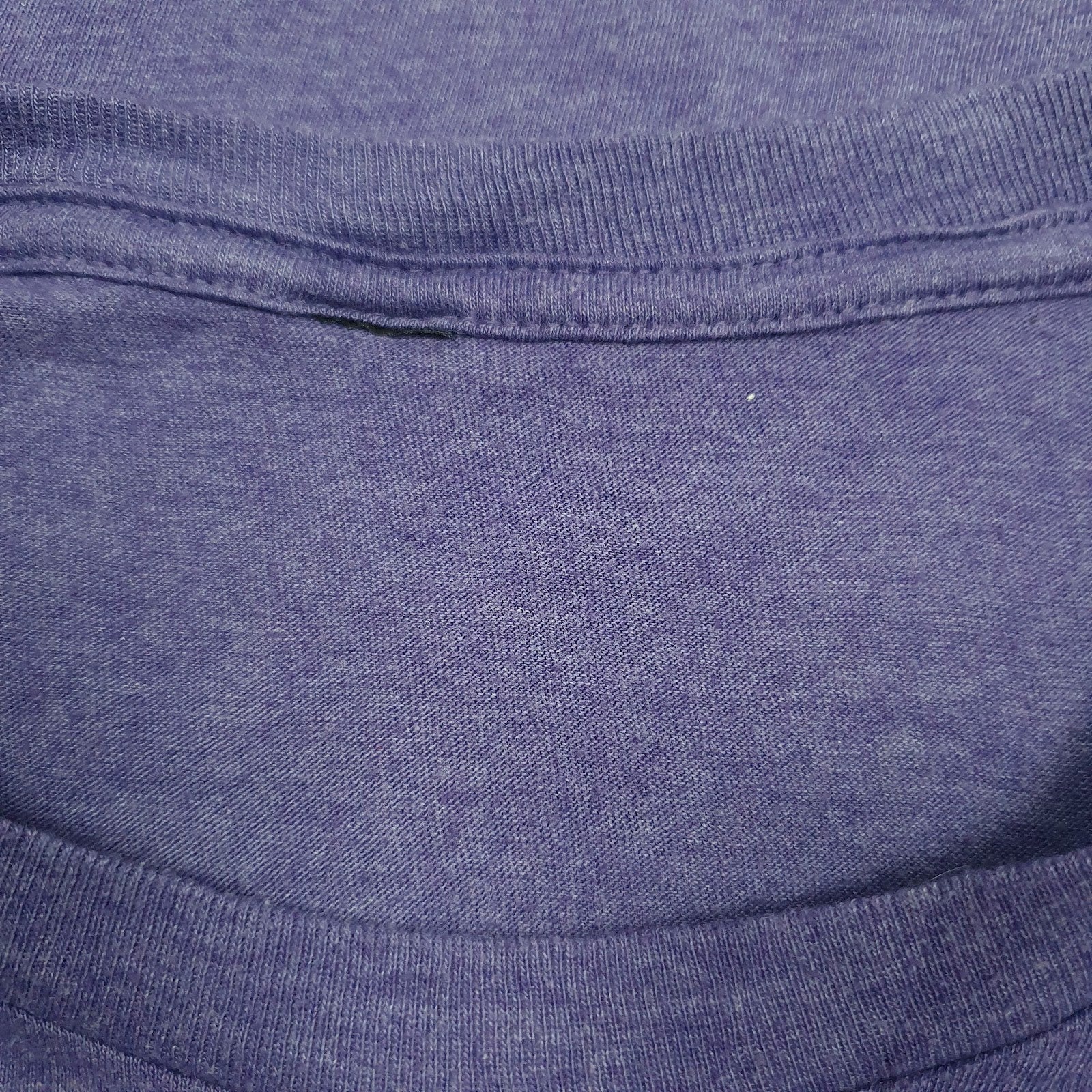 Mens Purple Unbranded Boulder  T Shirt