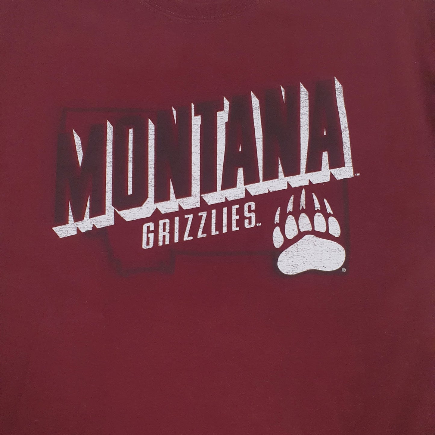 Mens Burgundy Russel Athletic Montana Grizzlies  T Shirt