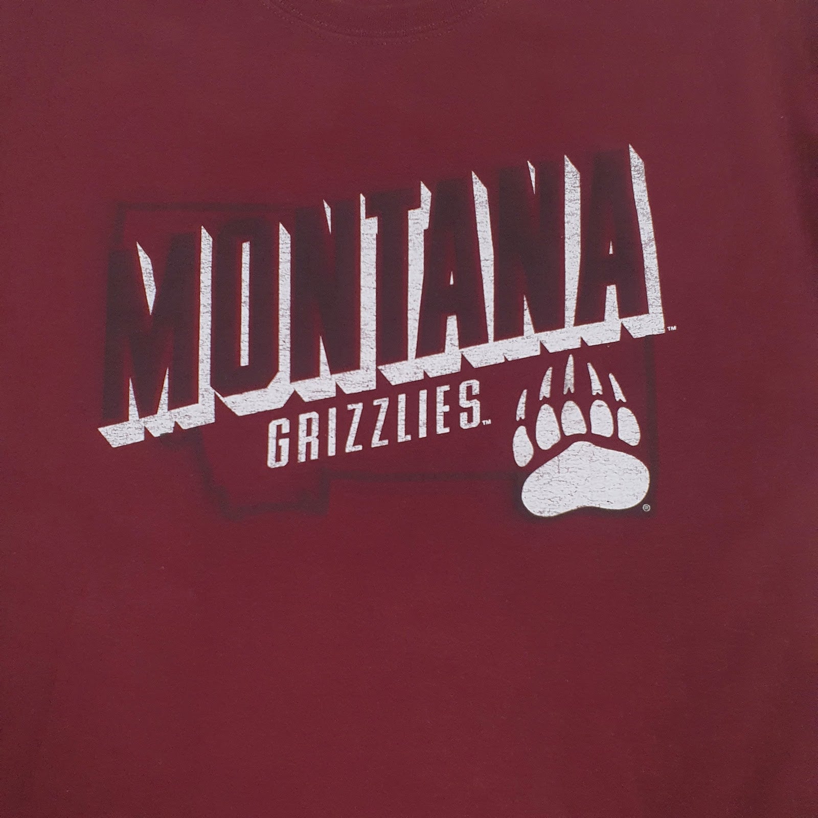 Mens Burgundy Russel Athletic Montana Grizzlies  T Shirt