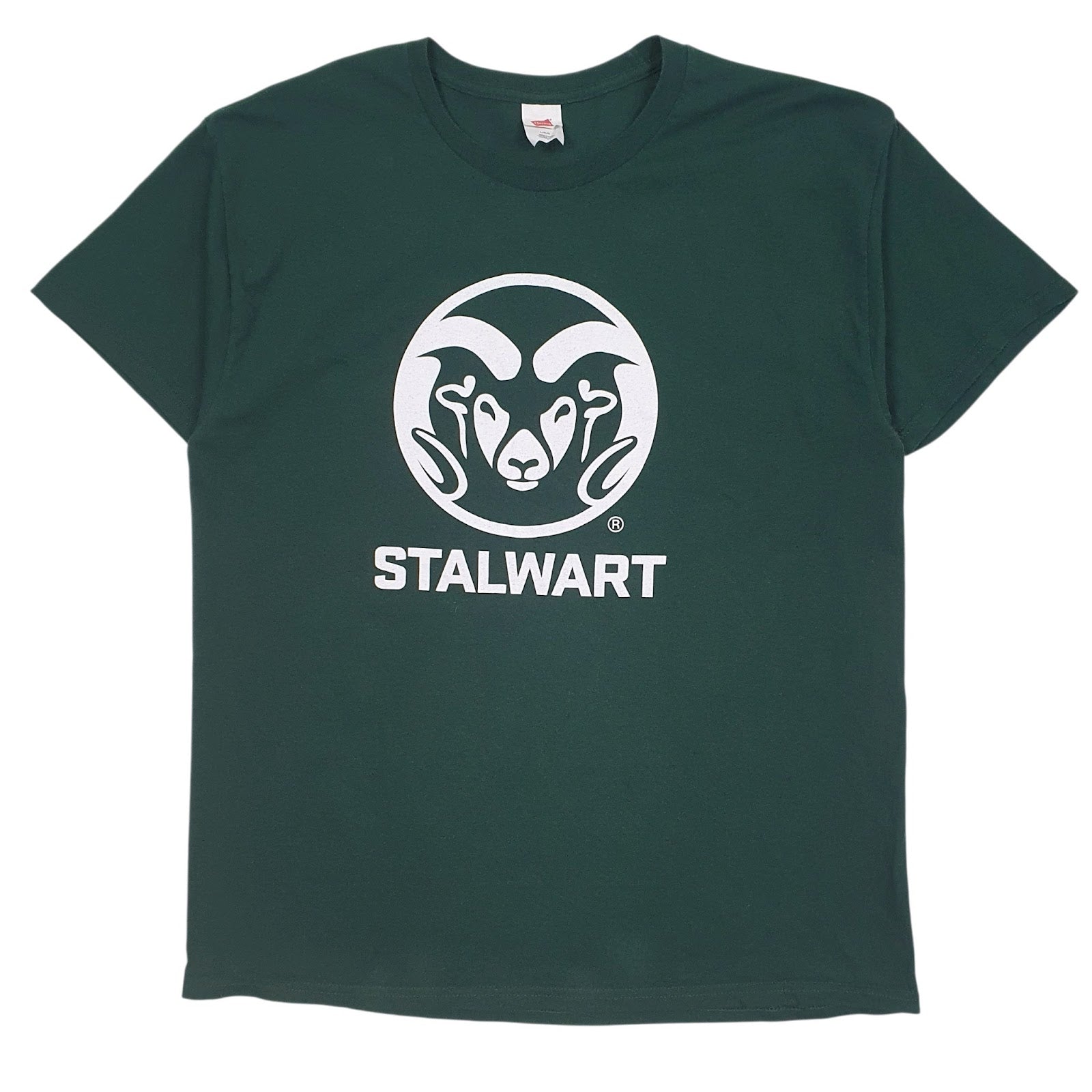 Mens Green Hanes Stalwart Scheels Colorado Short Sleeve T Shirt