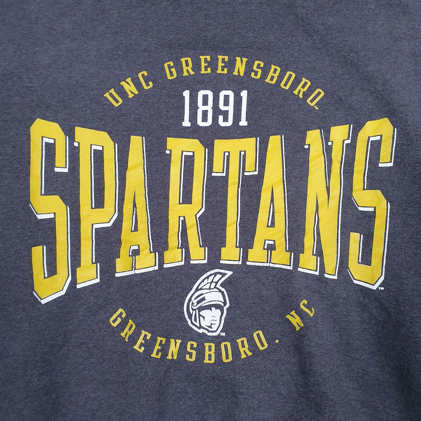Mens Grey Champion UNCC Spartans Hoodie Jumper