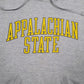 Mens Grey Unbranded Appalachian State Hoodie Jumper