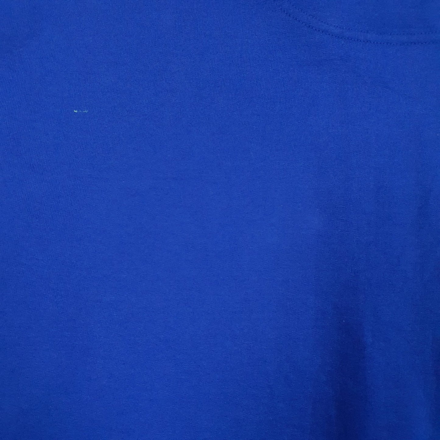 Mens Blue Champion Hooded Quarter Zip Jumper