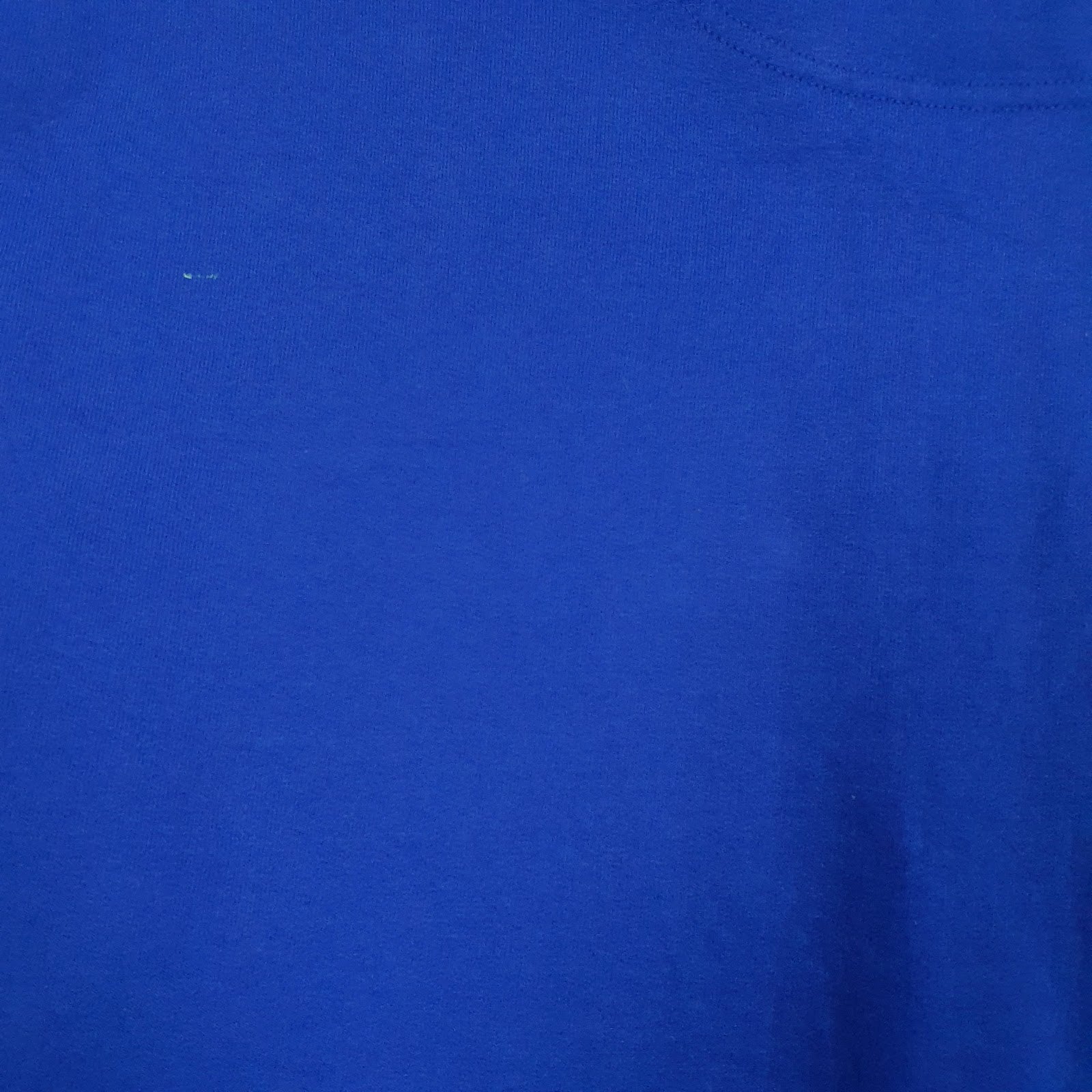 Mens Blue Champion Hooded Quarter Zip Jumper