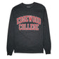 Mens Grey Champion Edgewood College Long Sleeve T Shirt