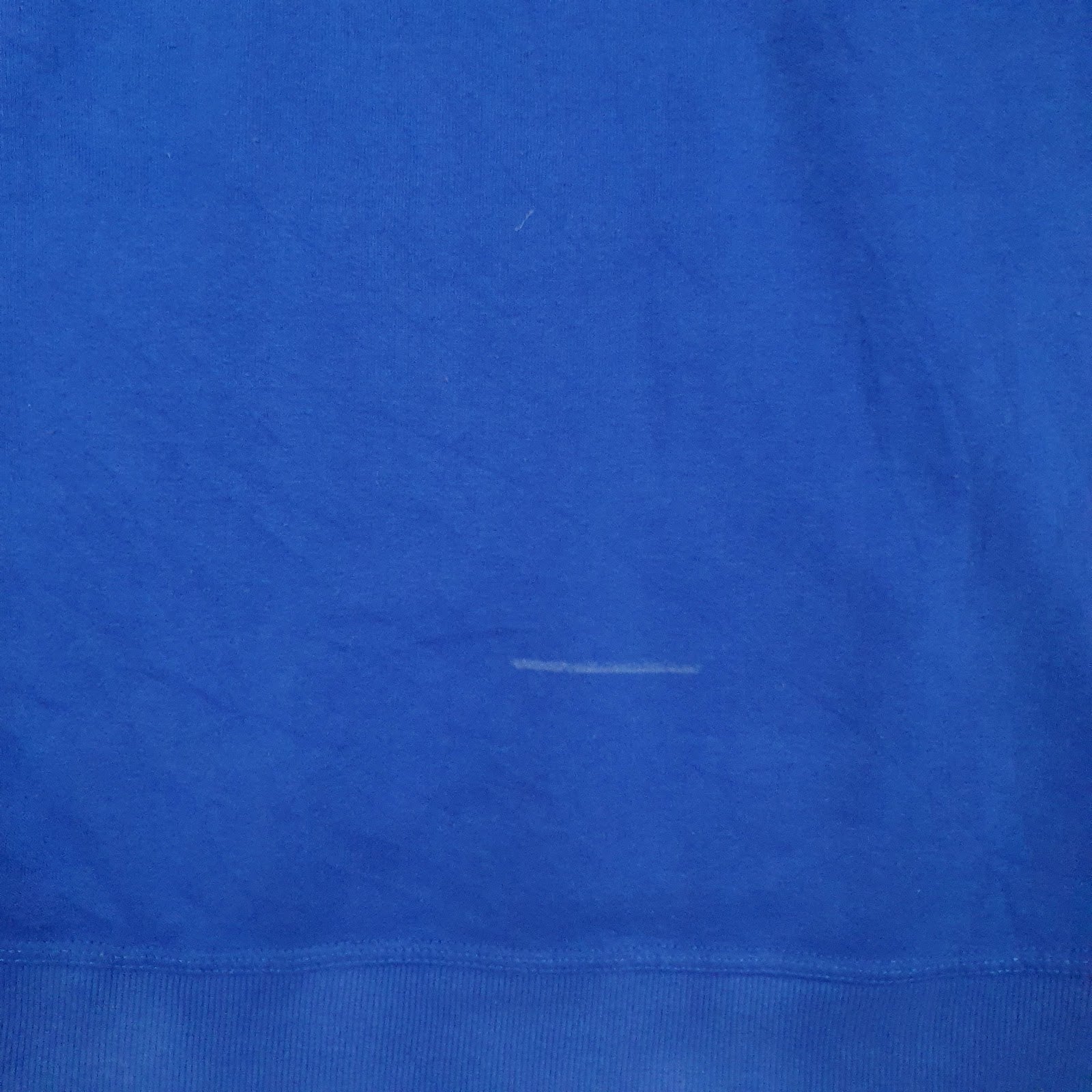 Mens Blue Champion Spellout Hoodie Jumper