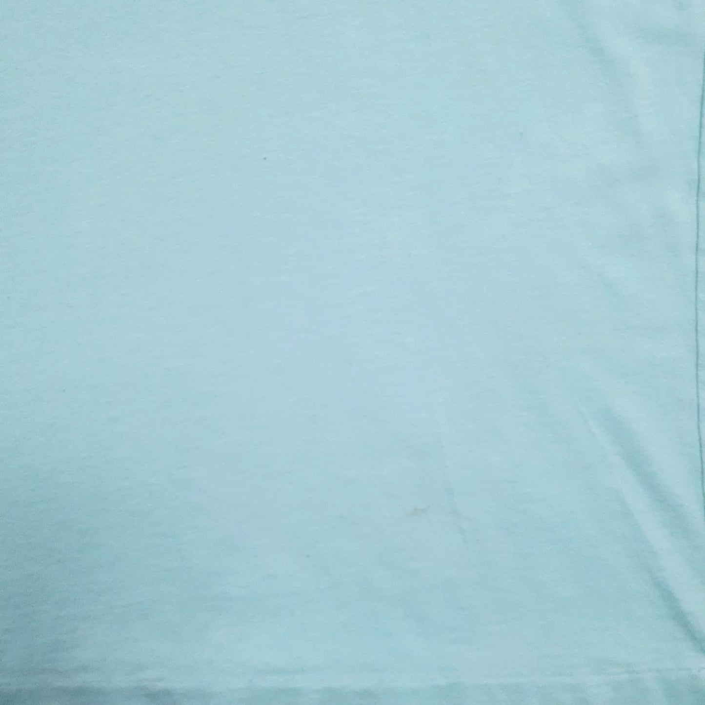Mens Blue Polo Ralph Lauren   T Shirt