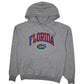 Mens Grey Champion Florida Gators Hoodie Jumper