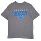 Mens Grey NFL Detroit Lions Short Sleeve T Shirt