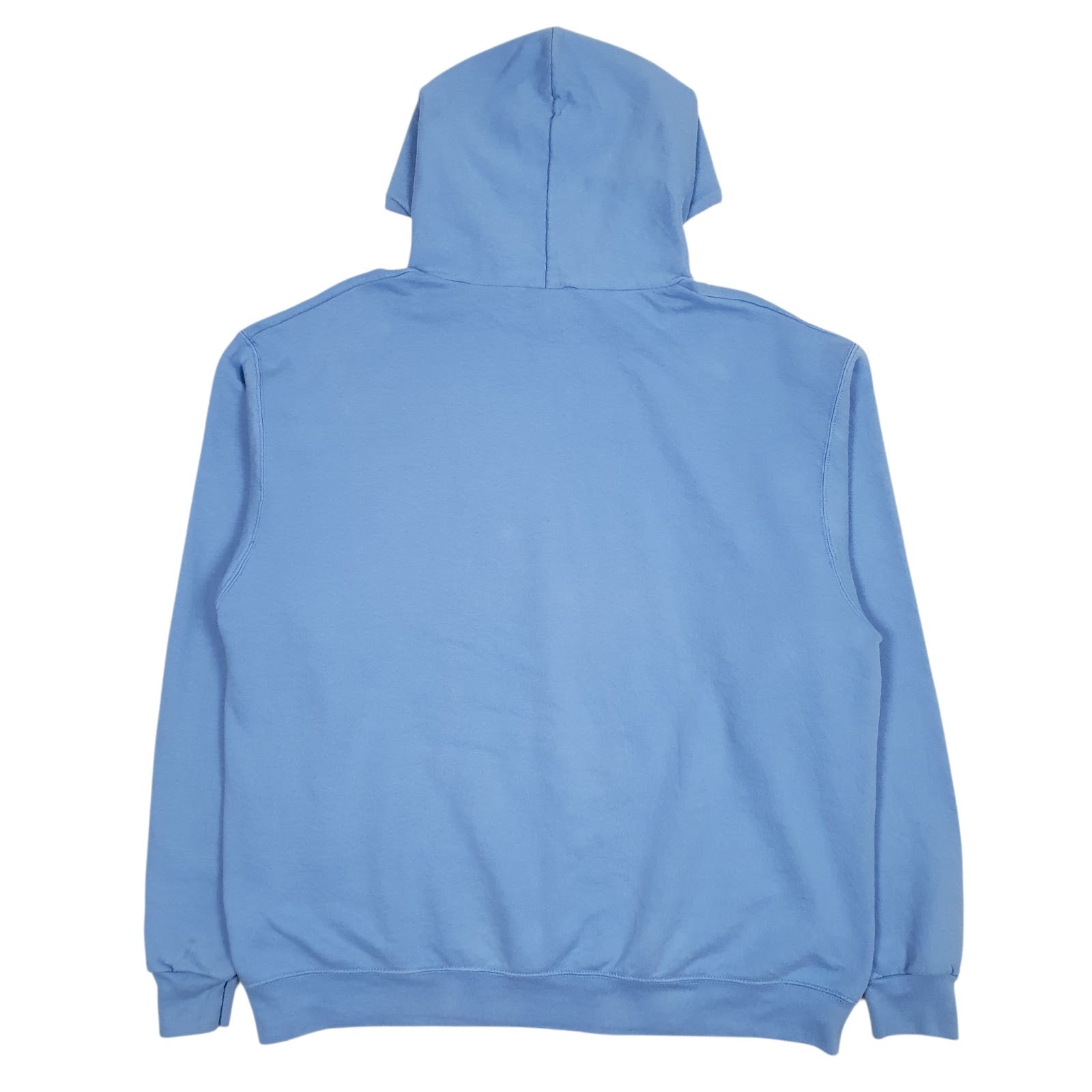 Womens Blue Champion  Hoodie Jumper