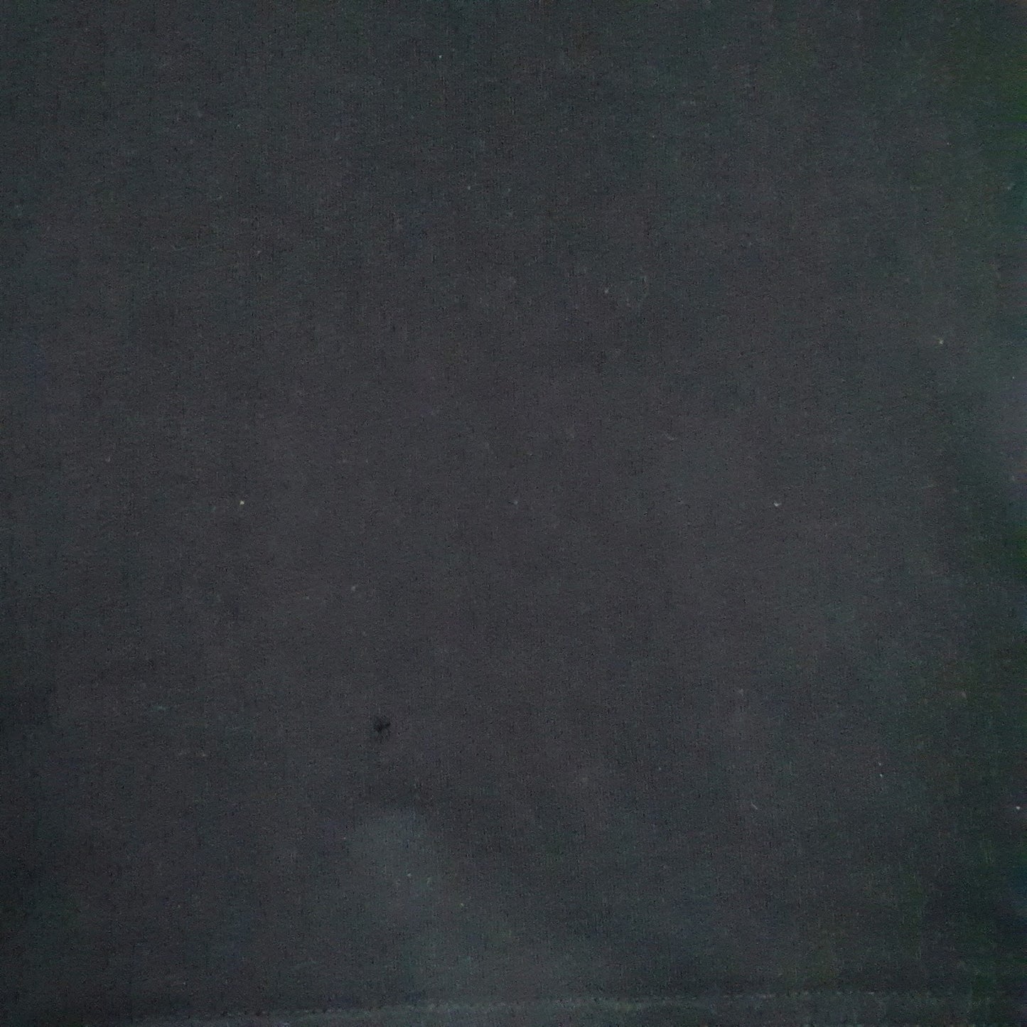 Mens Black Olympics Official Paris 2024  T Shirt