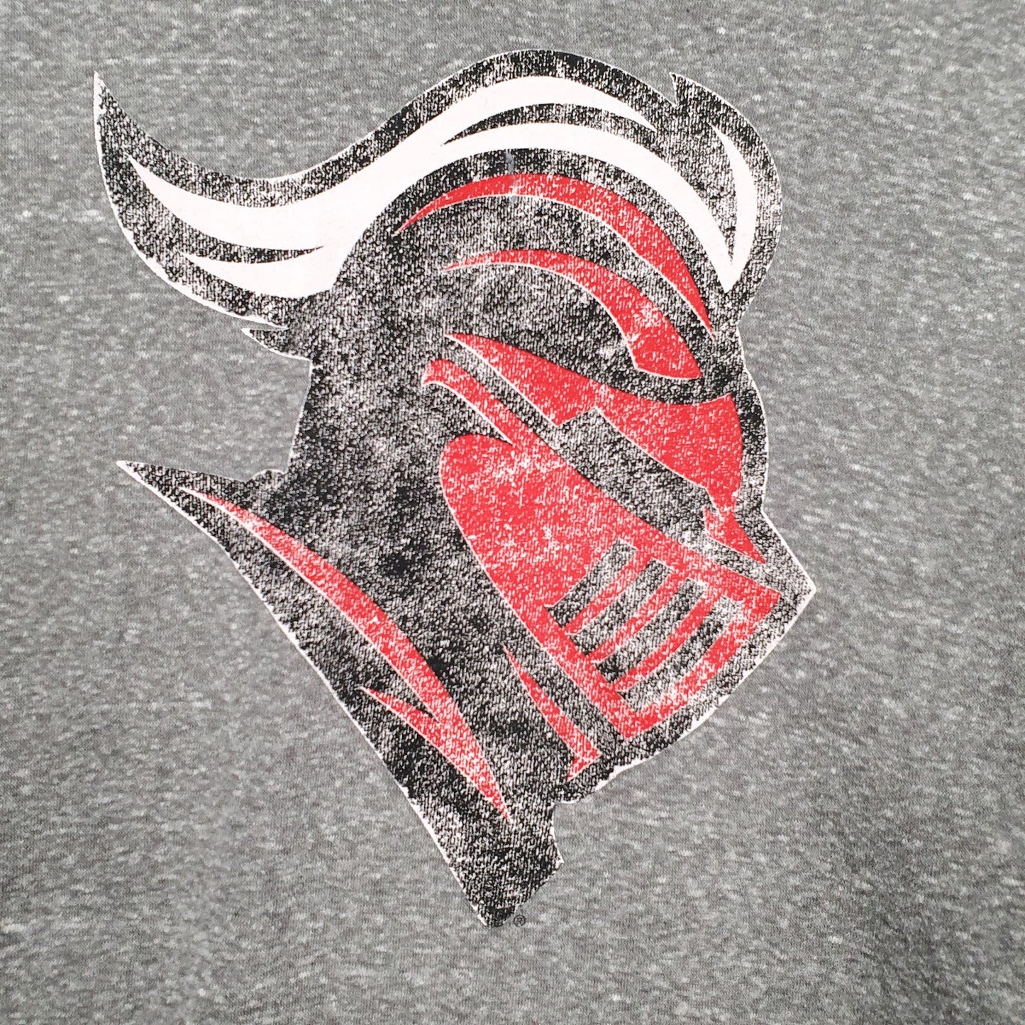 Mens Grey Champion  Hoodie Jumper