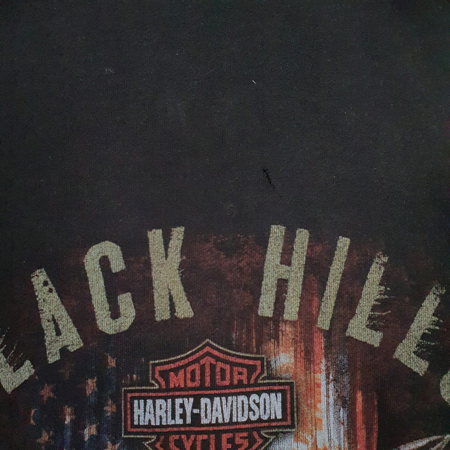 Mens Black Harley Davidson Graphic Full Zip Jumper
