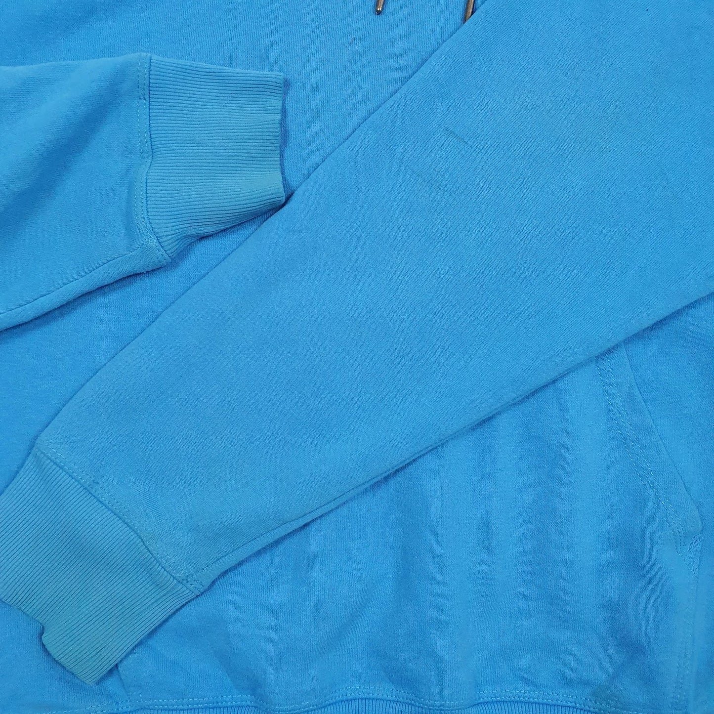 Mens Blue Champion Spellout Hoodie Jumper