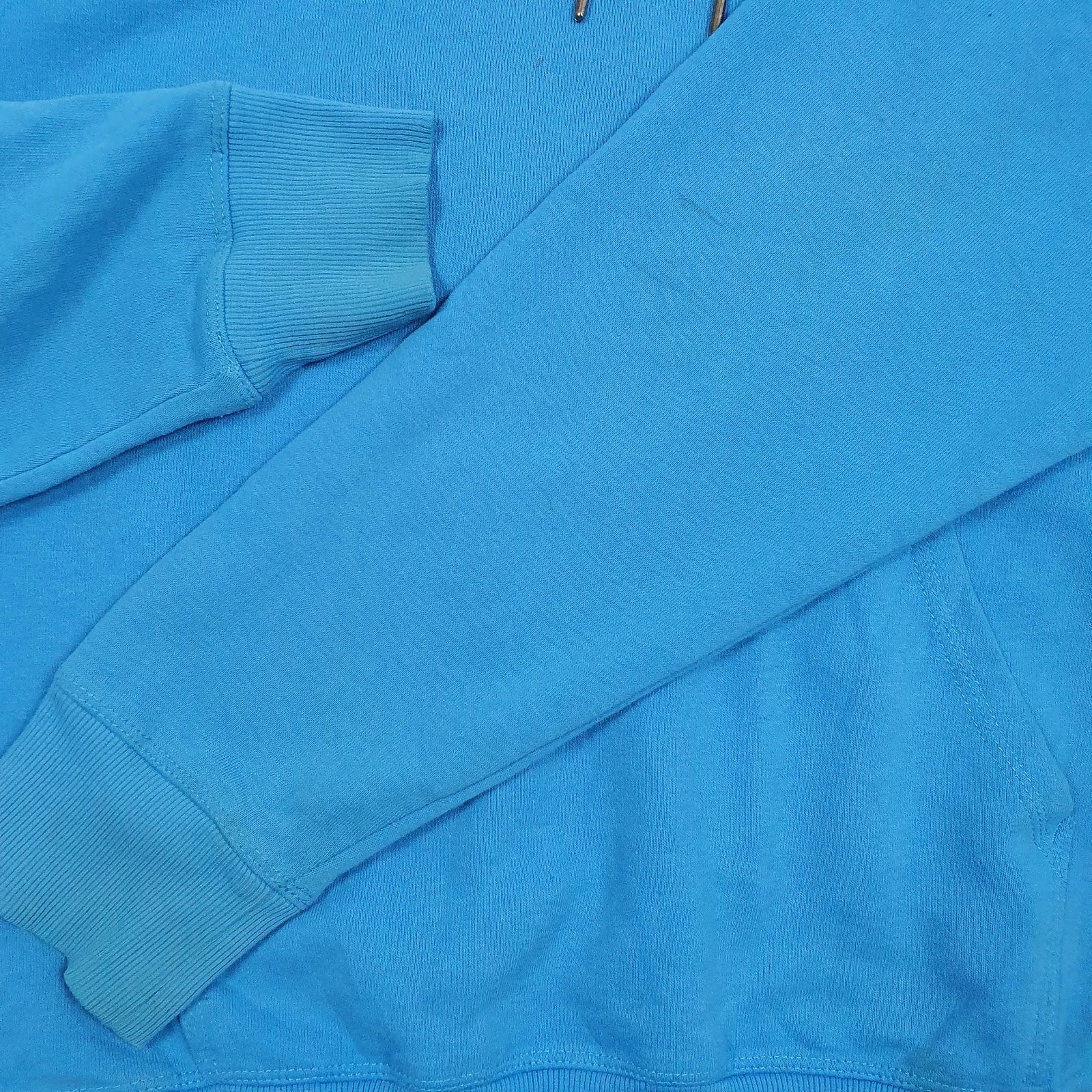 Mens Blue Champion Spellout Hoodie Jumper