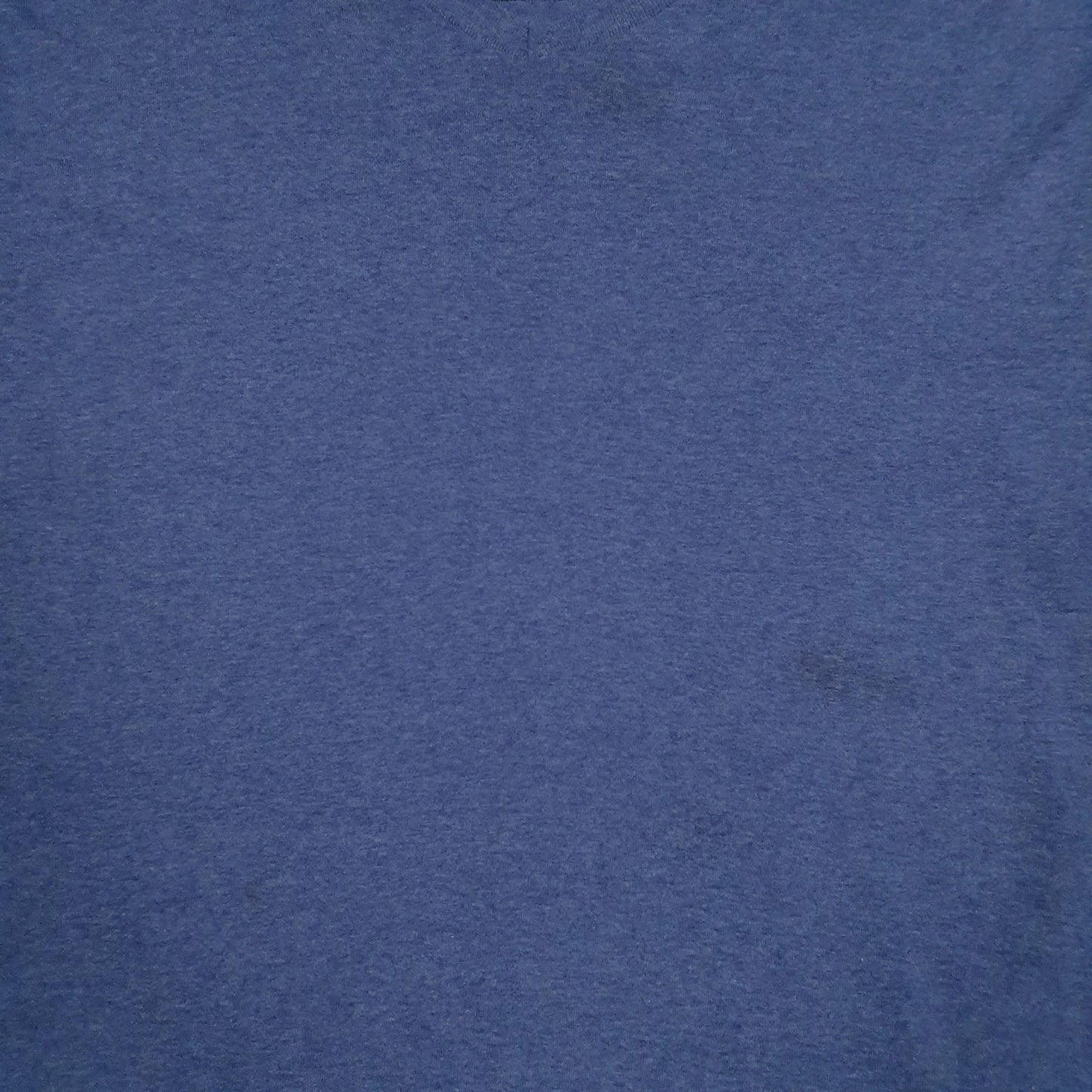 Mens Blue Champion   T Shirt