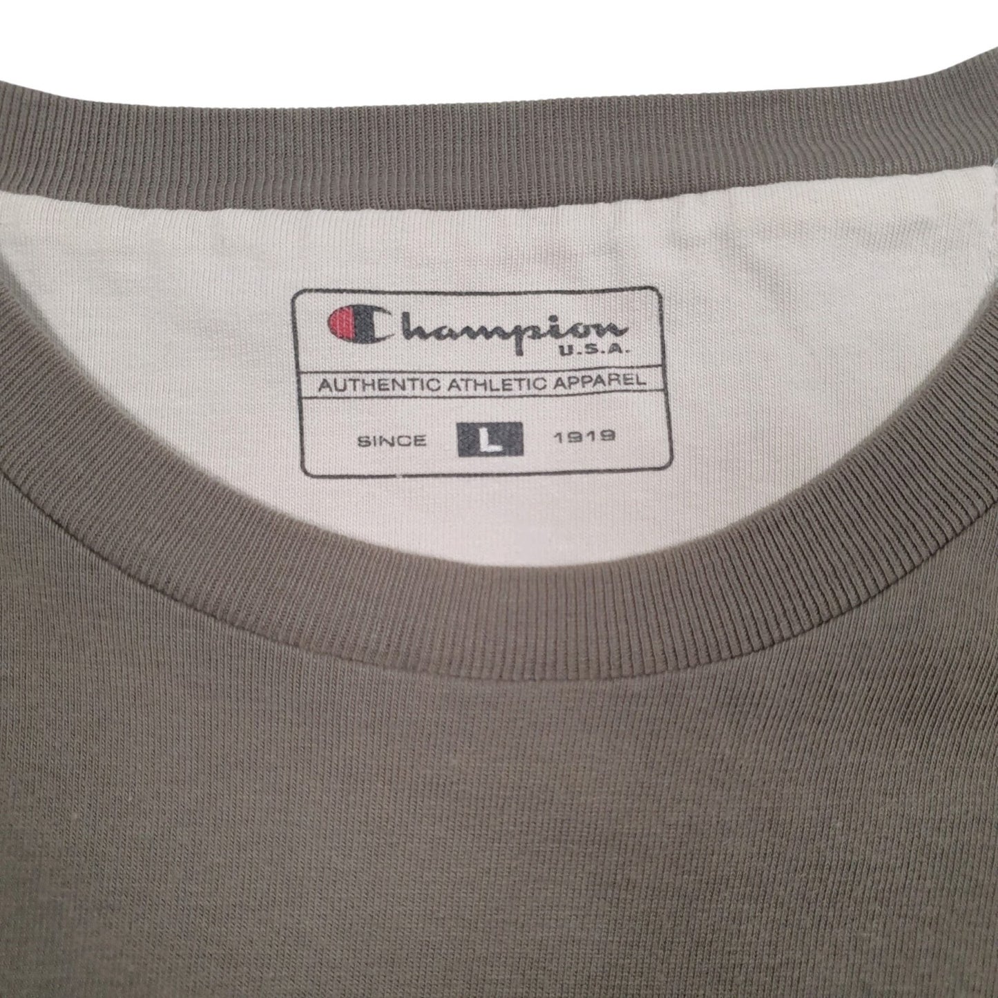 Mens Grey Champion Spellout  T Shirt