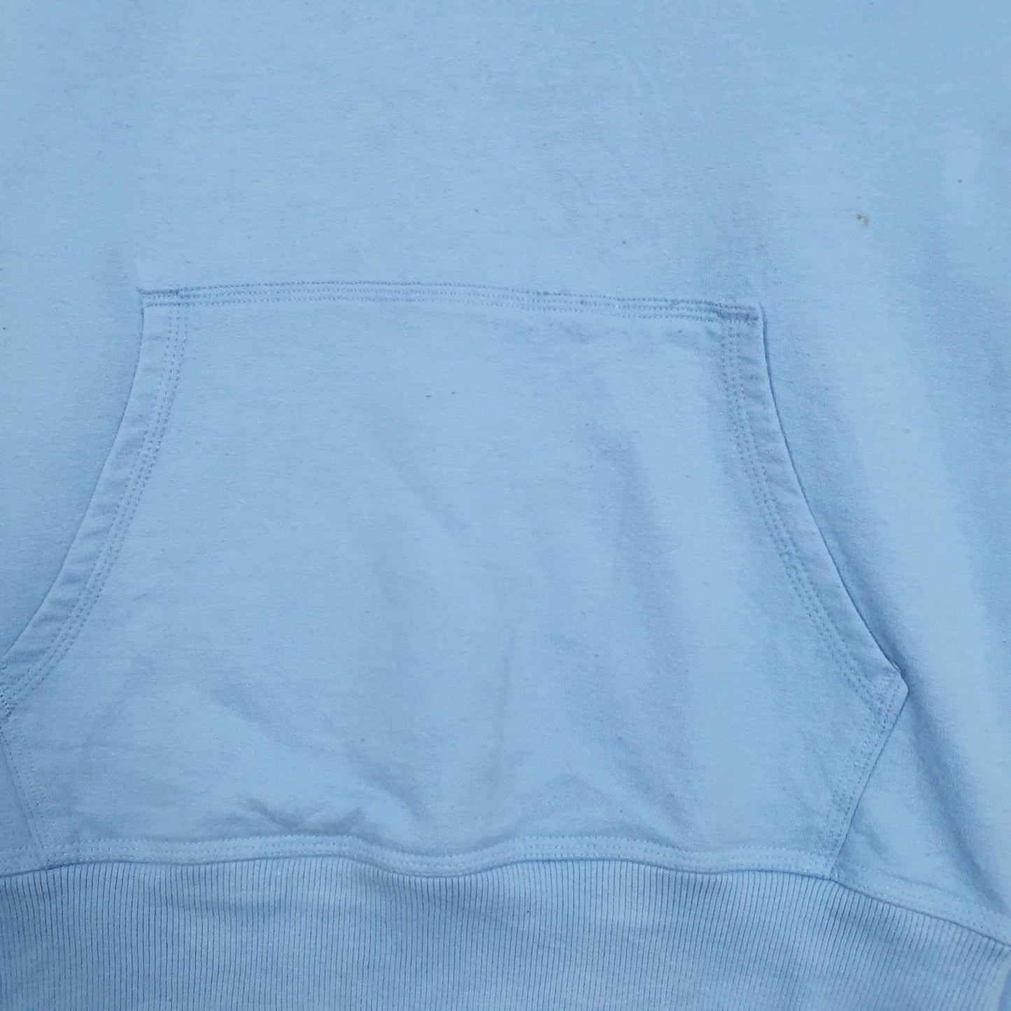 Mens Blue Champion Spellout Hoodie Jumper