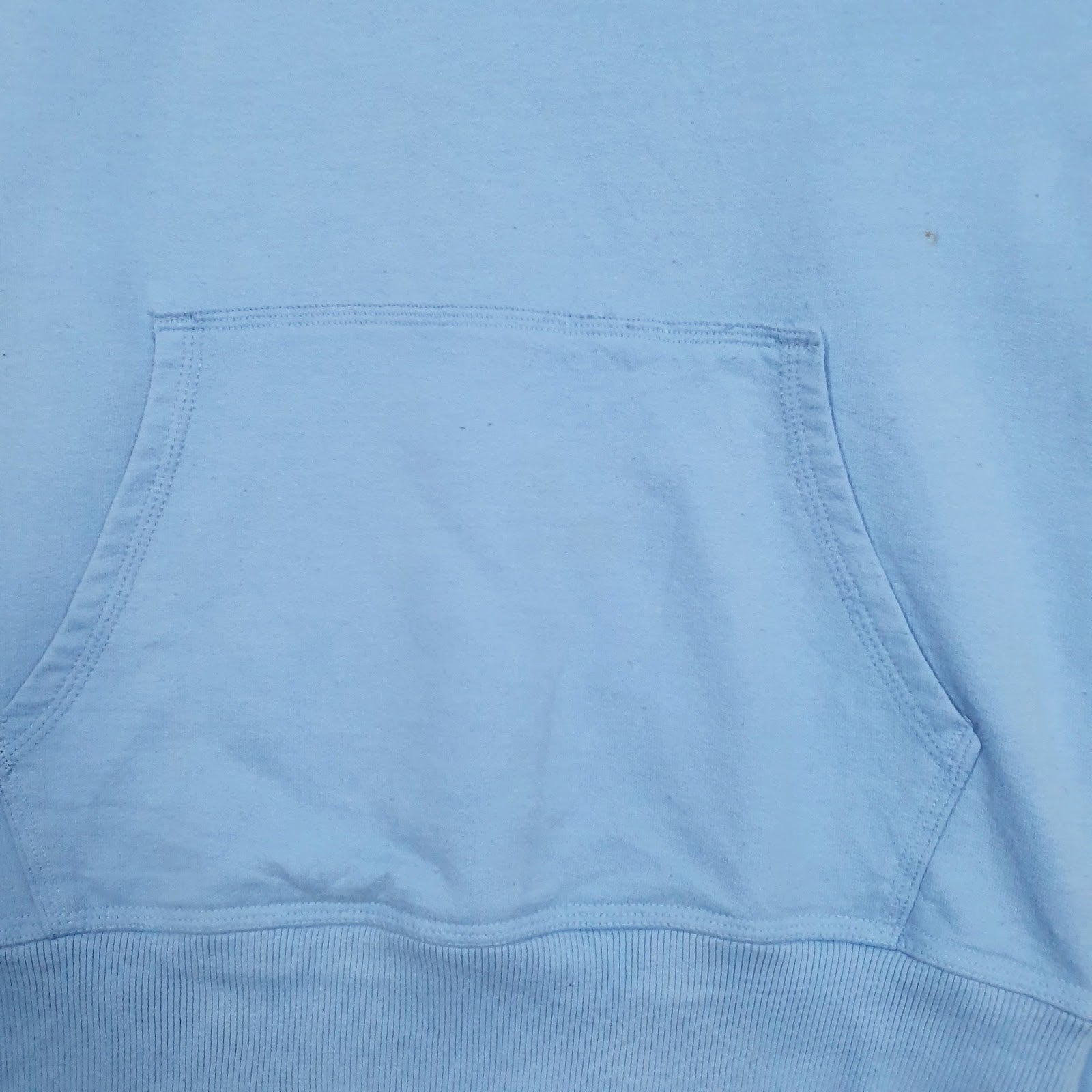 Mens Blue Champion Spellout Hoodie Jumper