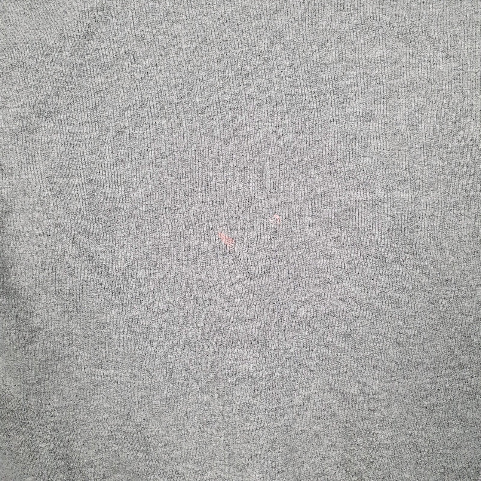 Mens Grey Champion  Hoodie Jumper