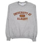Mens Grey Champion University Of Albany Crewneck Jumper