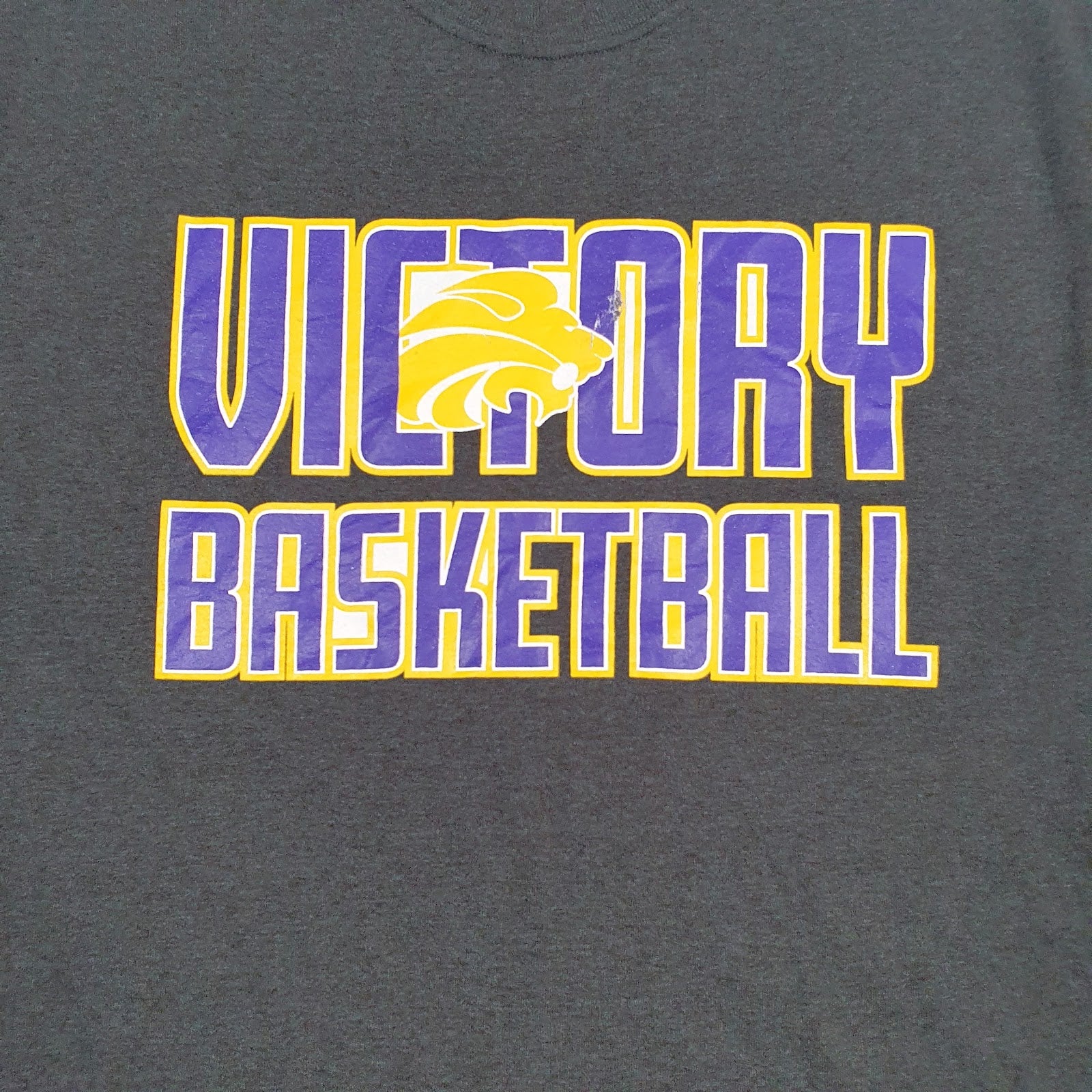 Mens Grey Unbranded Victory Basketball  T Shirt